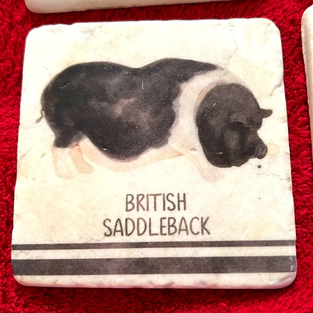 English Farm Animals Cows & Pigs Stone Coasters Set of 4